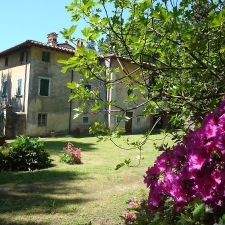 بيتراسانتا Bed & Breakfast Villa Masini-Luccetti المظهر الخارجي الصورة