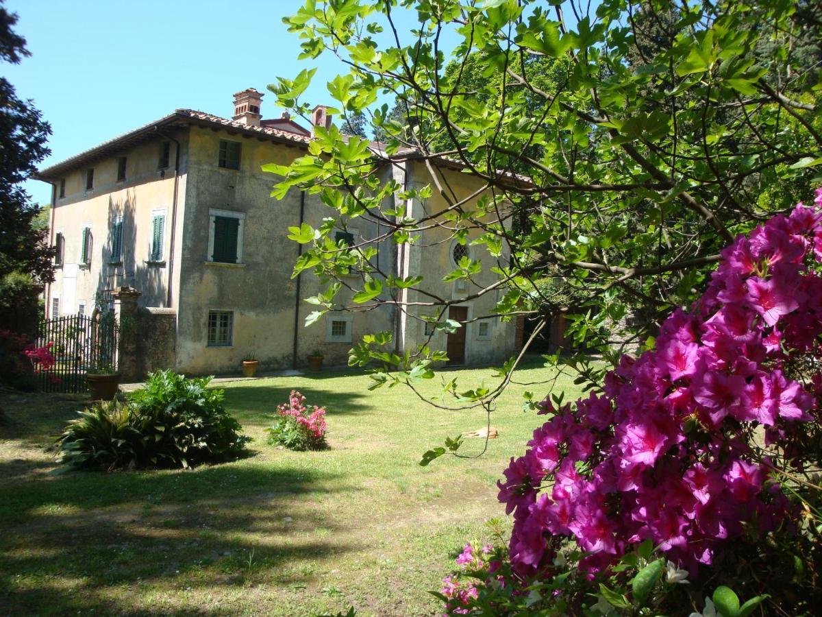 بيتراسانتا Bed & Breakfast Villa Masini-Luccetti المظهر الخارجي الصورة