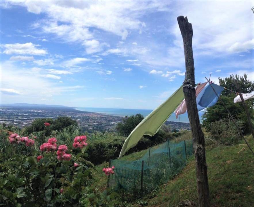 بيتراسانتا Bed & Breakfast Villa Masini-Luccetti المظهر الخارجي الصورة